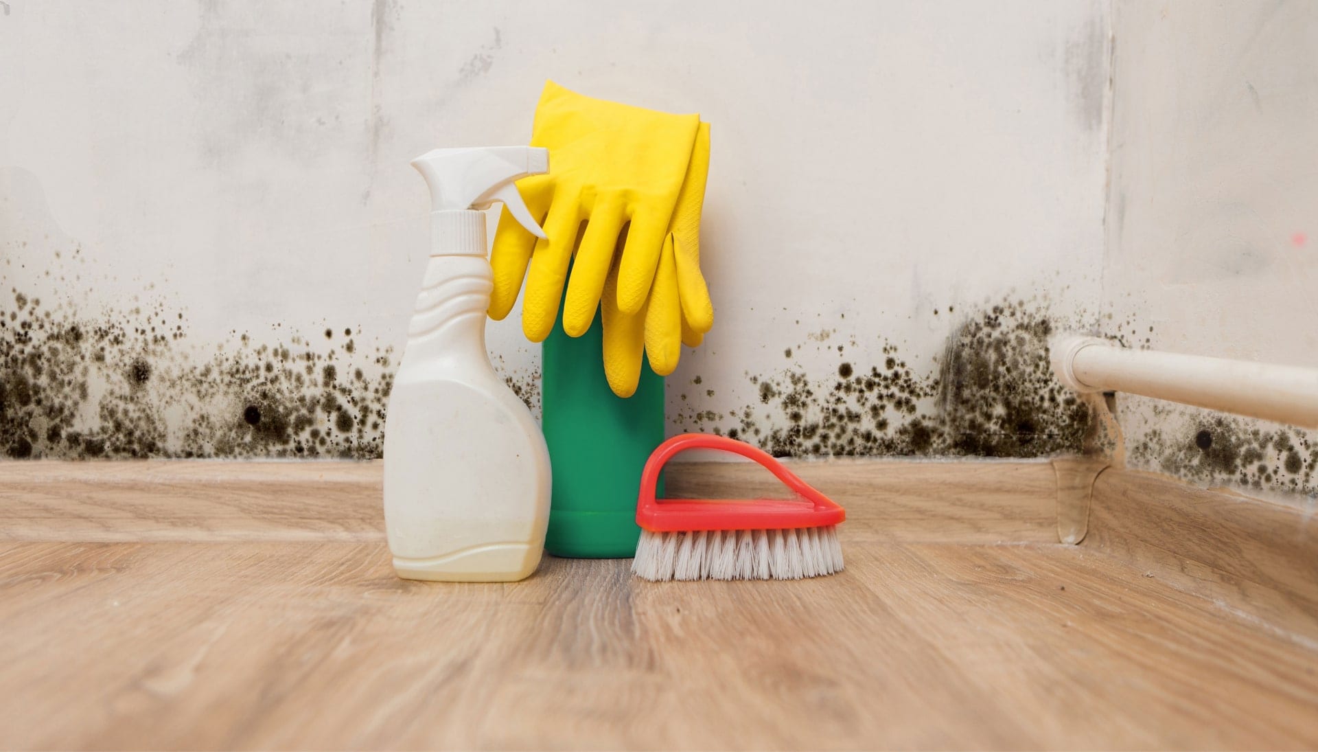 Know About Mold Removal In Huntsville