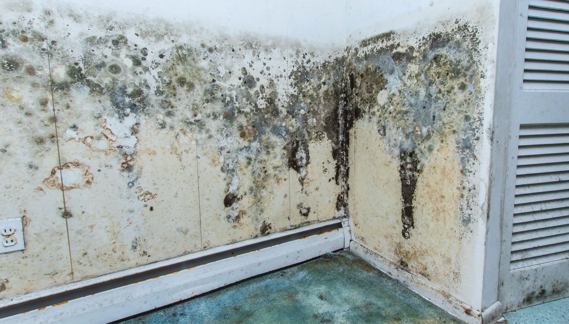 Mold Damage Odor Control Services in Huntsville