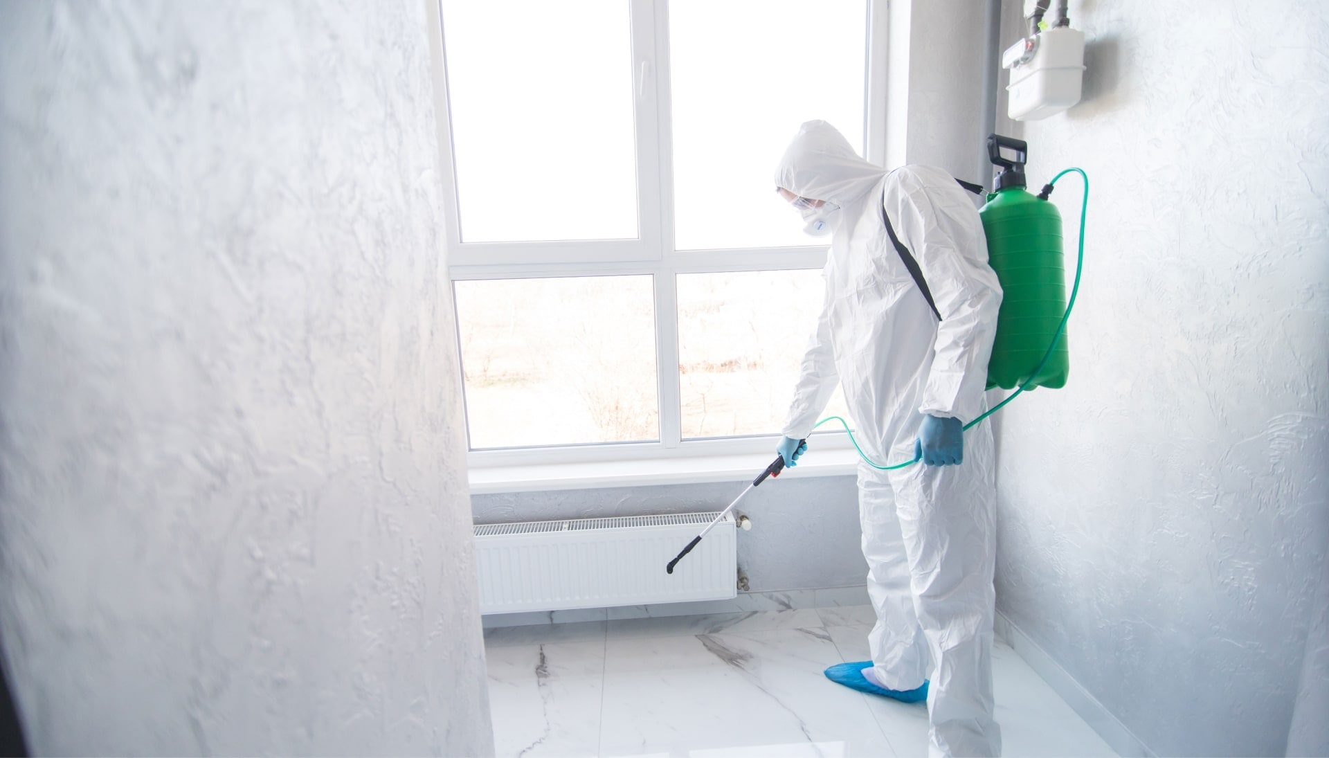 Mold Inspection Services in Huntsville